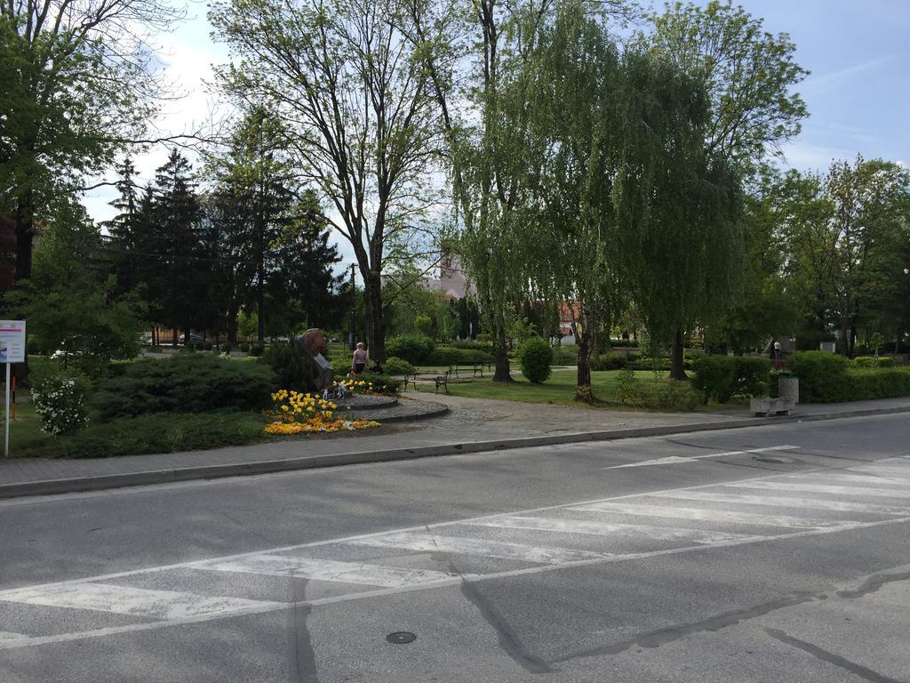 Penzion Stefarez New Hotel Veľký Meder Bagian luar foto